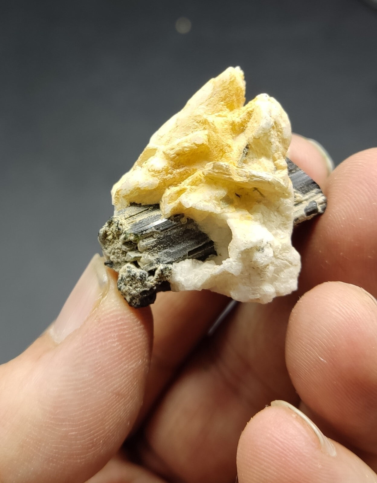 An aesthetic specimen of black tourmaline crystal on matrix 21 grams