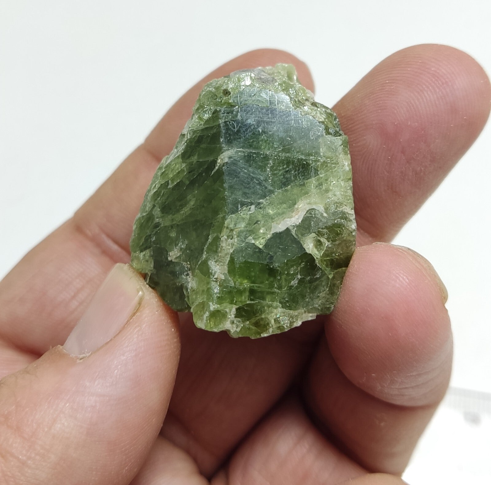 An amazing specimen of diopside crystal 46 grams