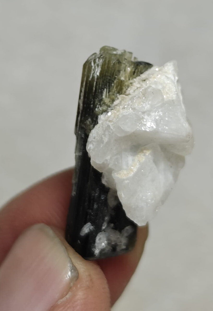 33 Carats Natural Green Cap Tourmaline Crystal With Albite.