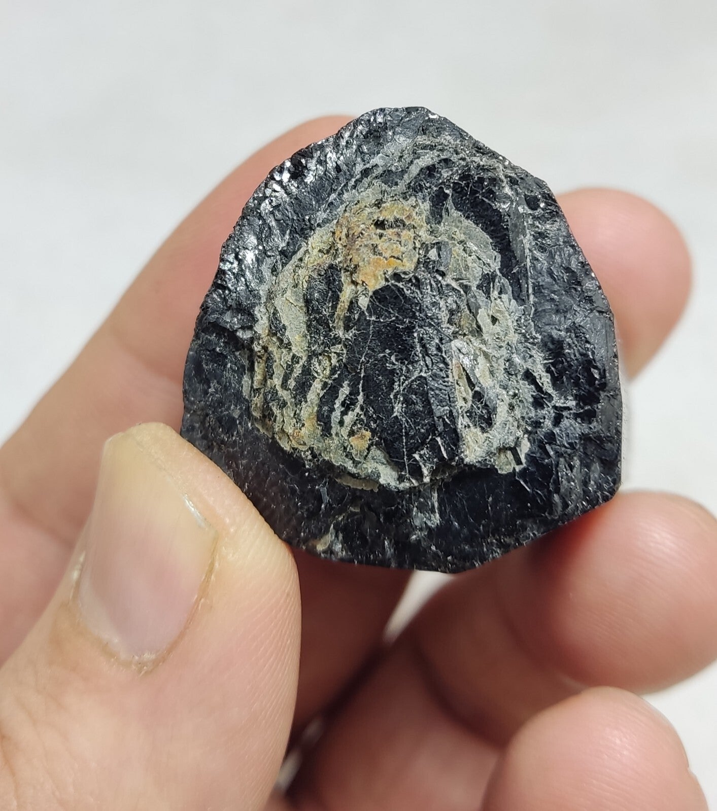 An amazing specimen of terminated black tourmaline 62 grams