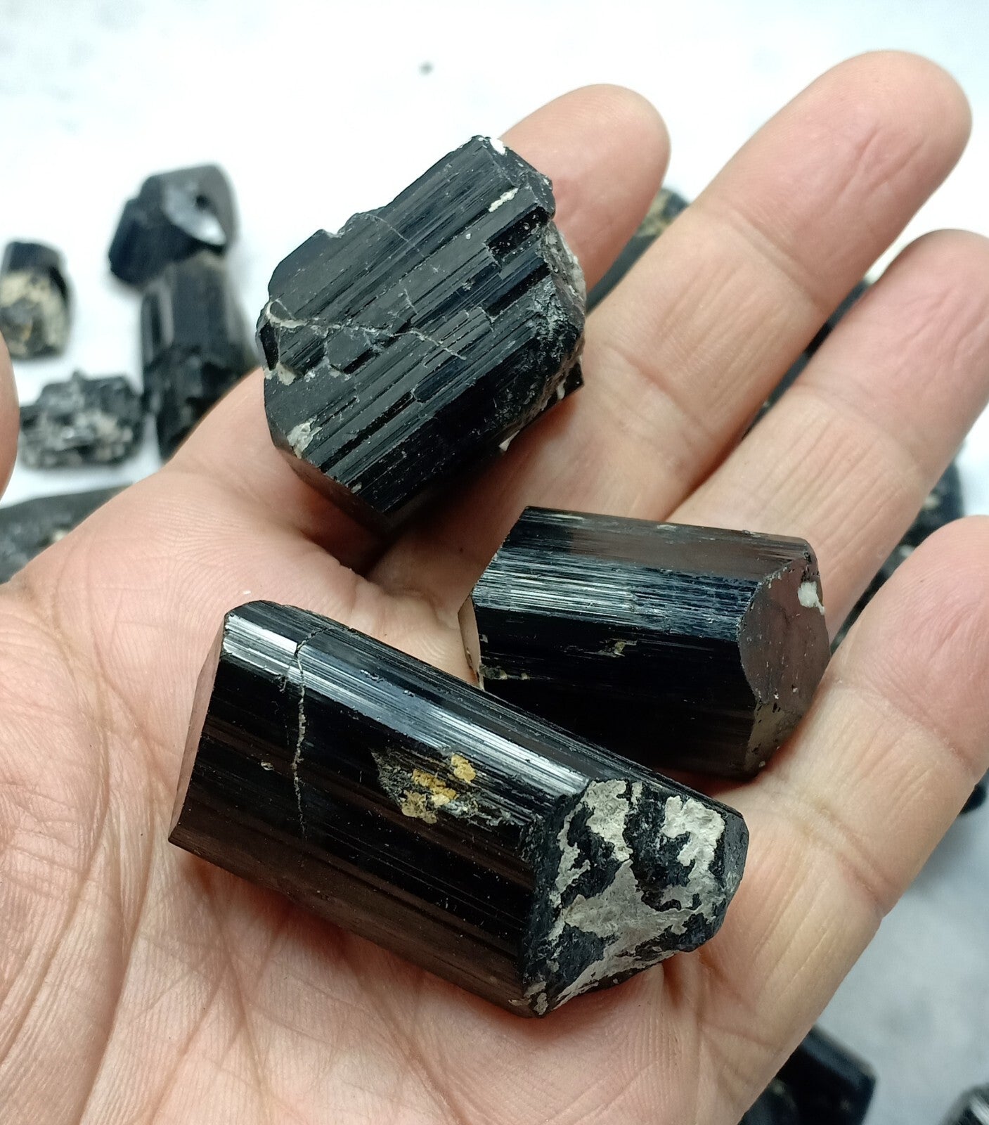 1100 grams Natural black Tourmaline crystals