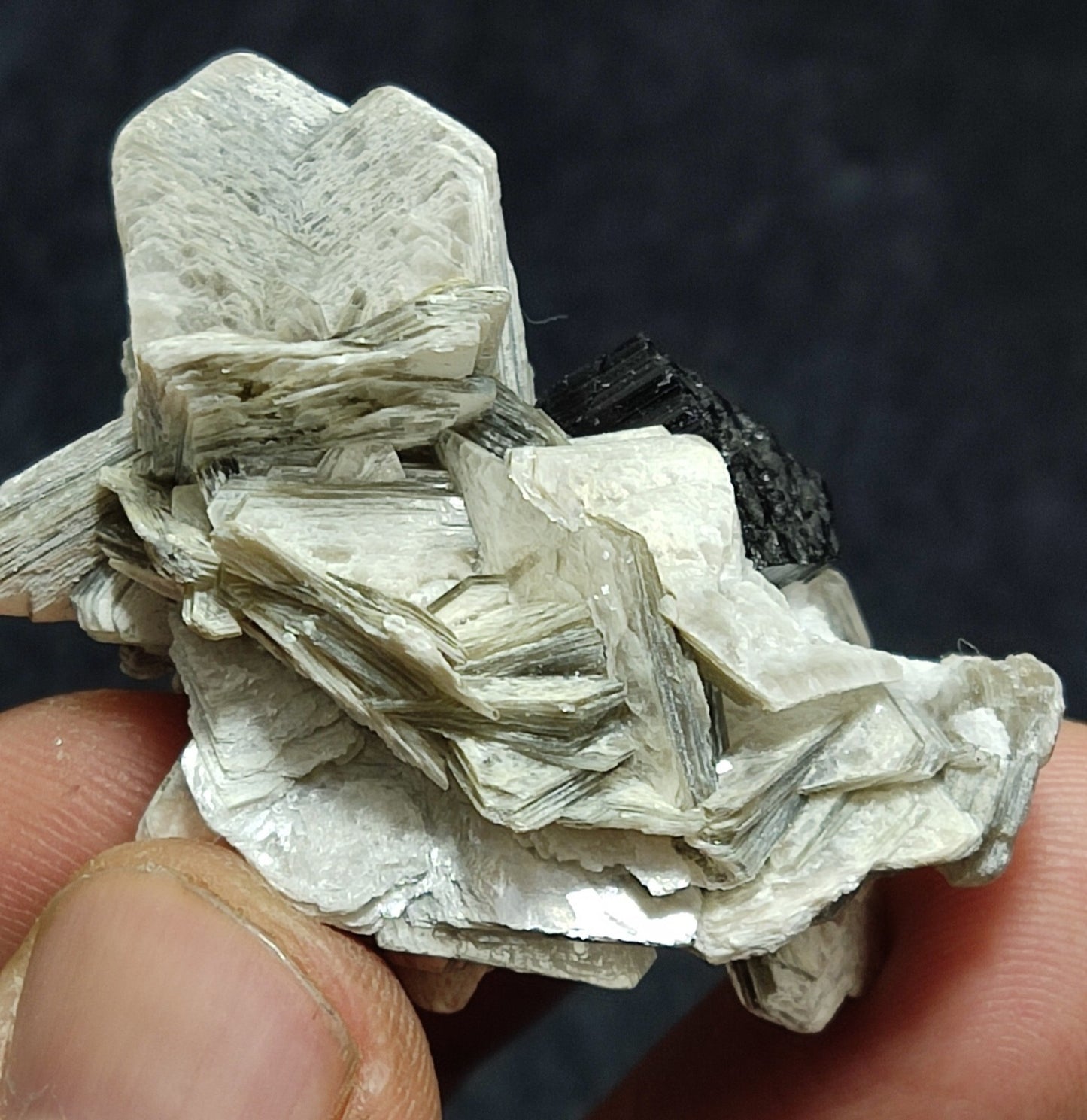 An Aesthetic specimen of muscovite with Tourmaline and albite 27 grams