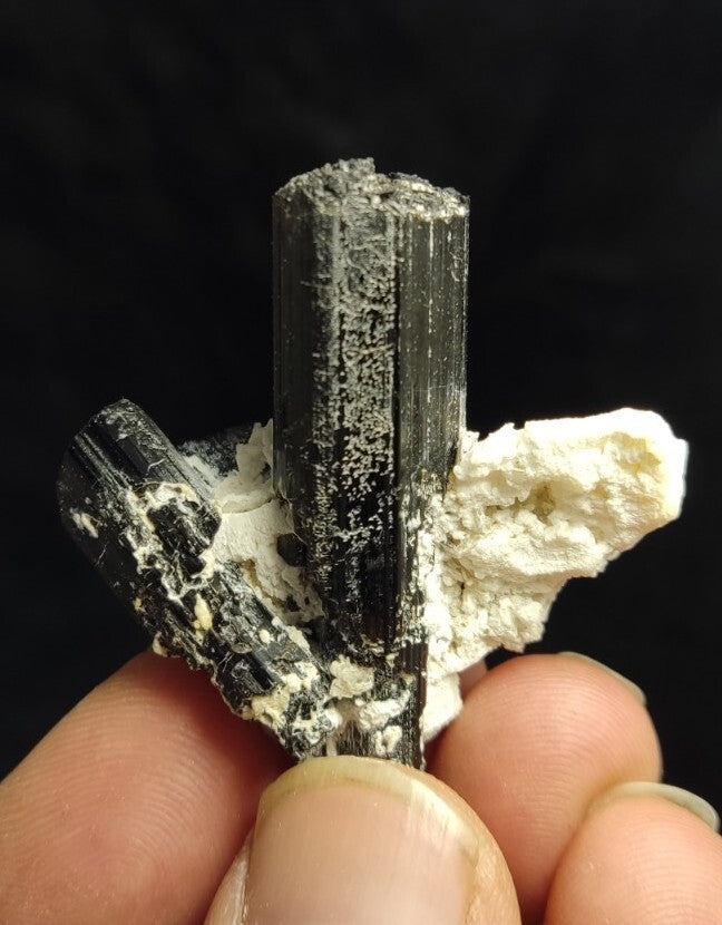 Natural Terminated Black Tourmaline Crystal Cluster with Albite 24 grams