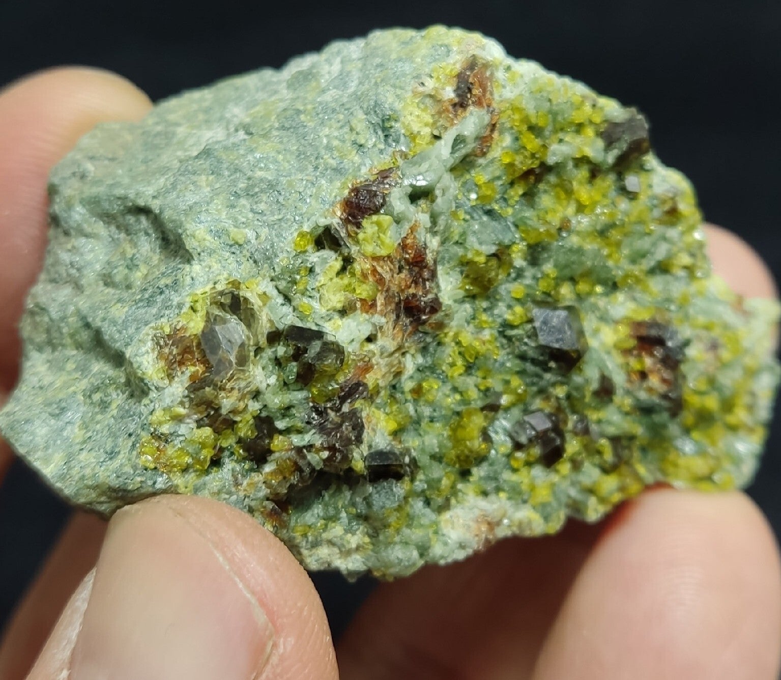Andradite Garnets Crystals on matrix with Epidotes and Diopside 80 grams