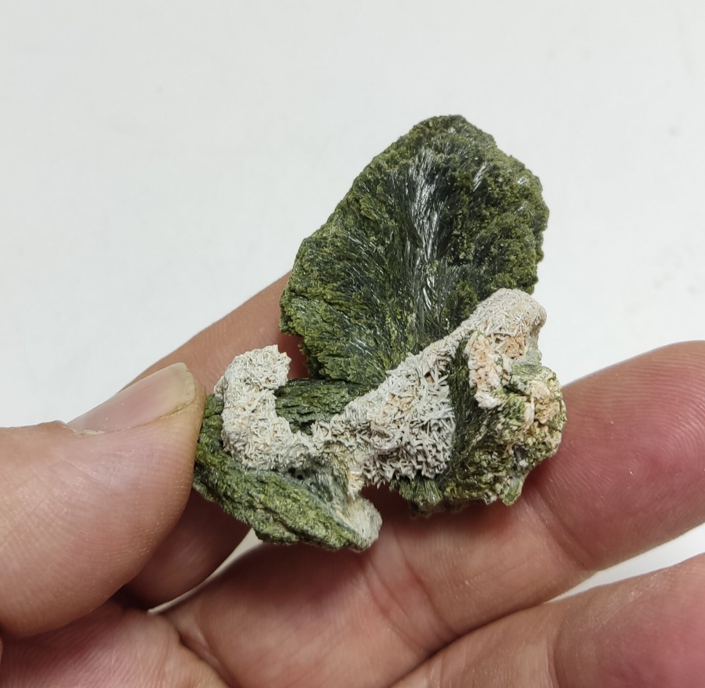 An aesthetic specimen of epidote crystal spray type 34 grams