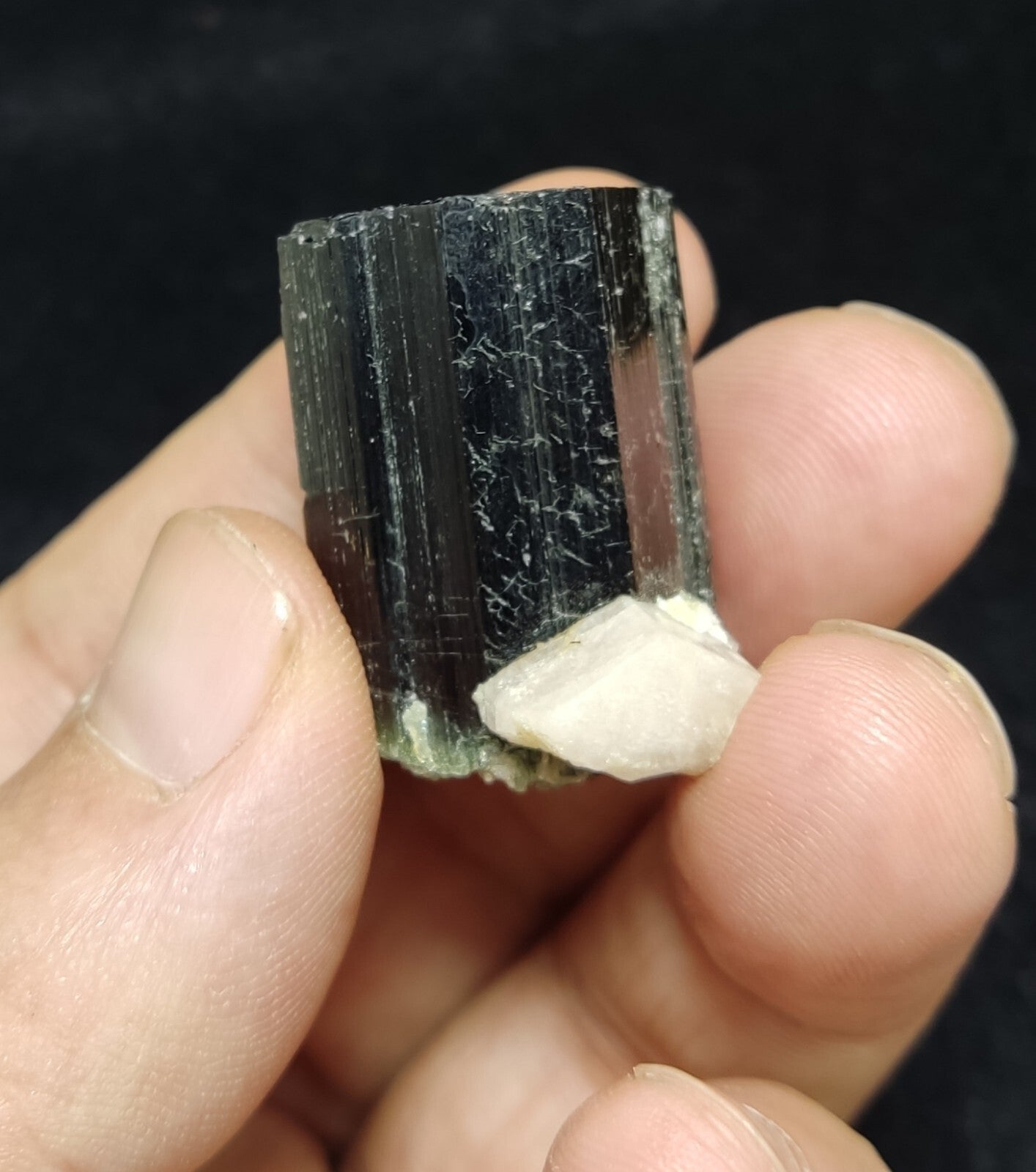 An Aesthetic specimen of black Tourmaline crystal with apatite 26 grams