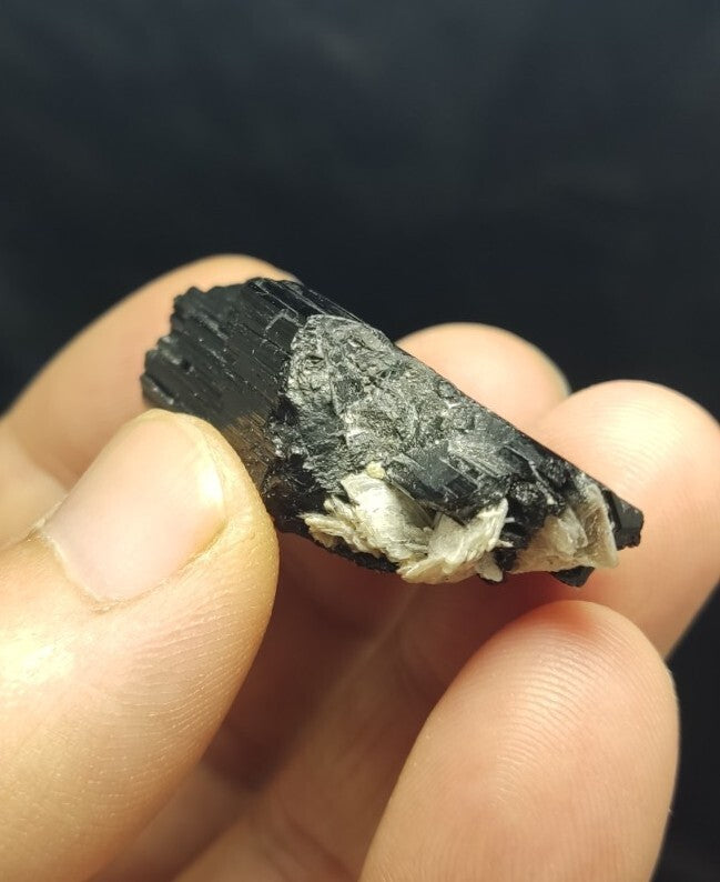 Natural Terminated Black Tourmaline Crystal 24 grams