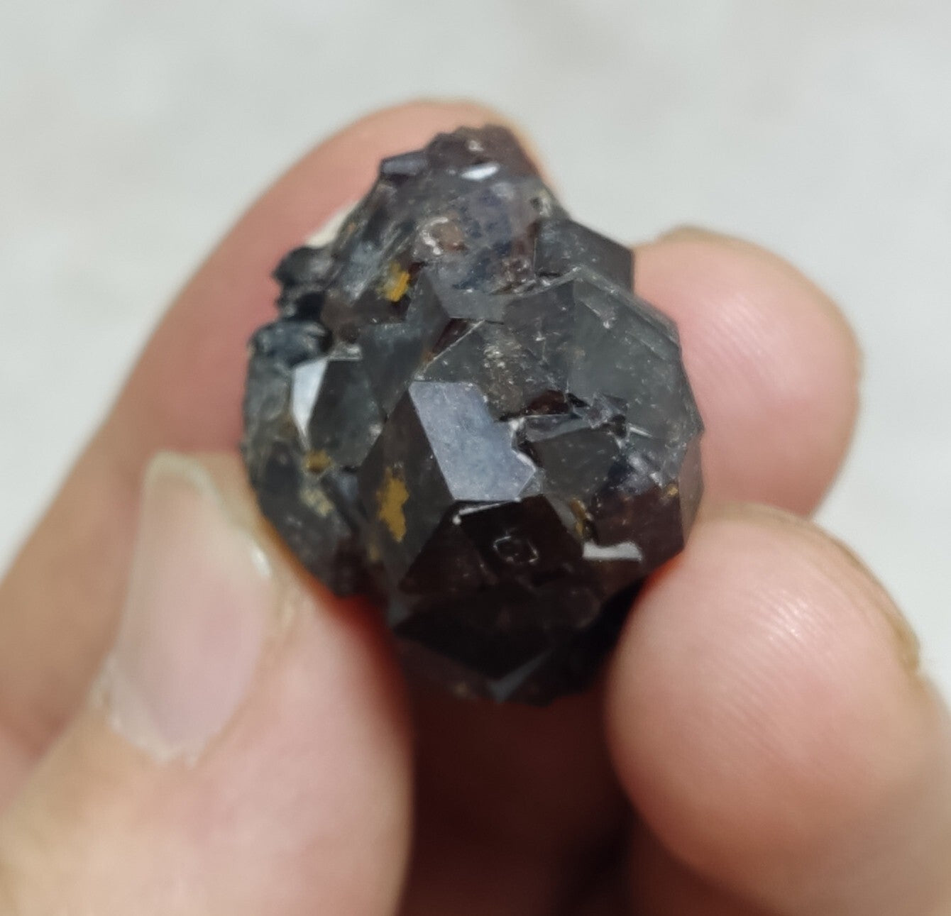 An Aesthetic specimen of andradite garnets on matrix 18 grams