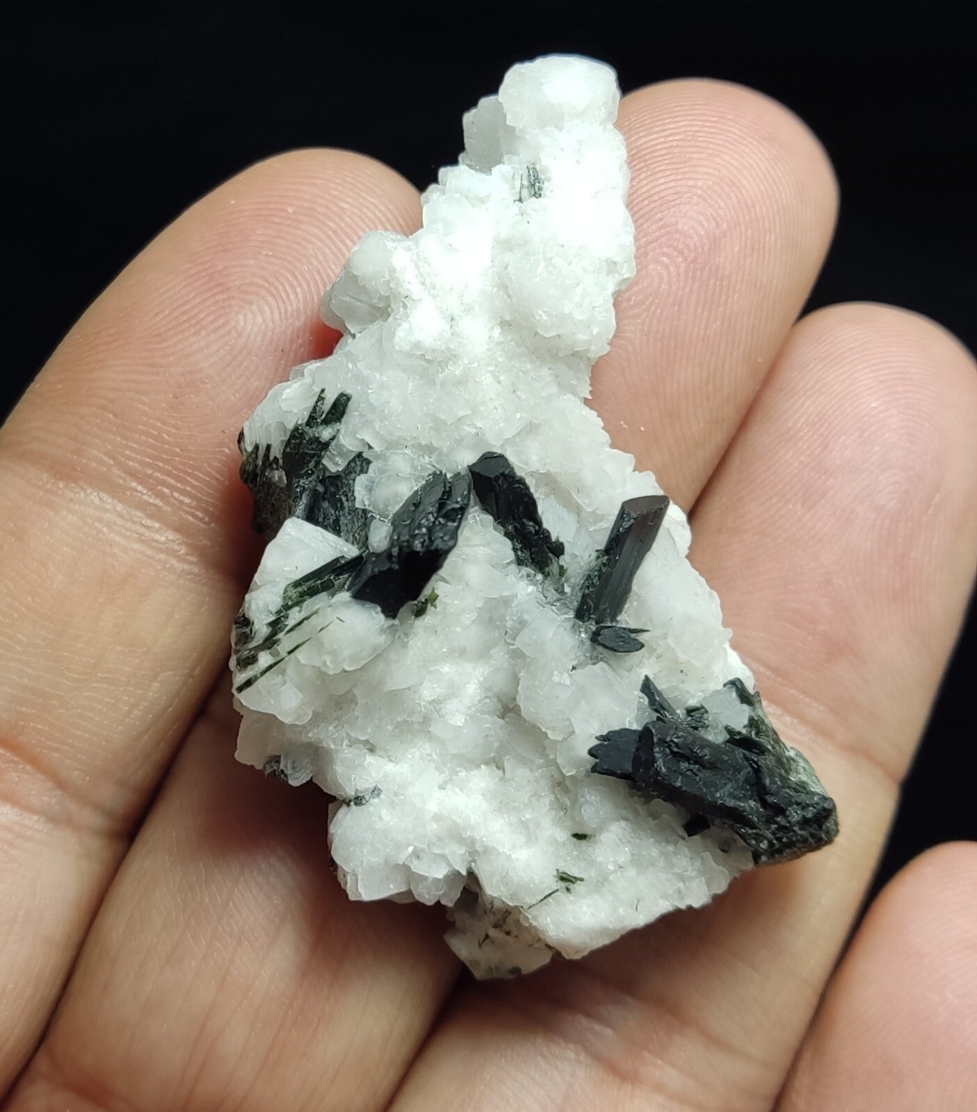 An aesthetic combo specimen of aegirine on albite 18 grams