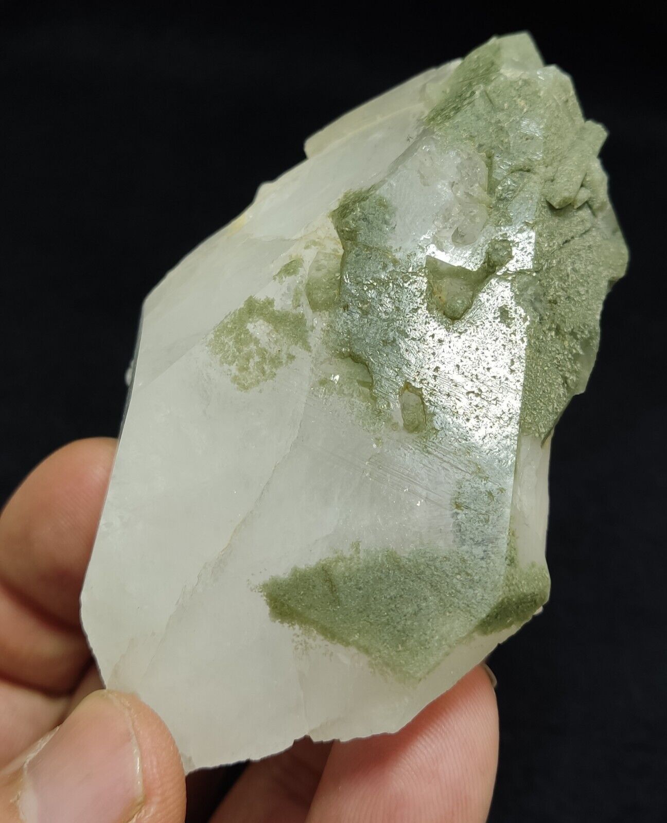 Chlorite quartz terminated crystal specimen 187 grams