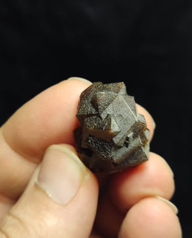 Andradite Garnets Cluster 14 Grams