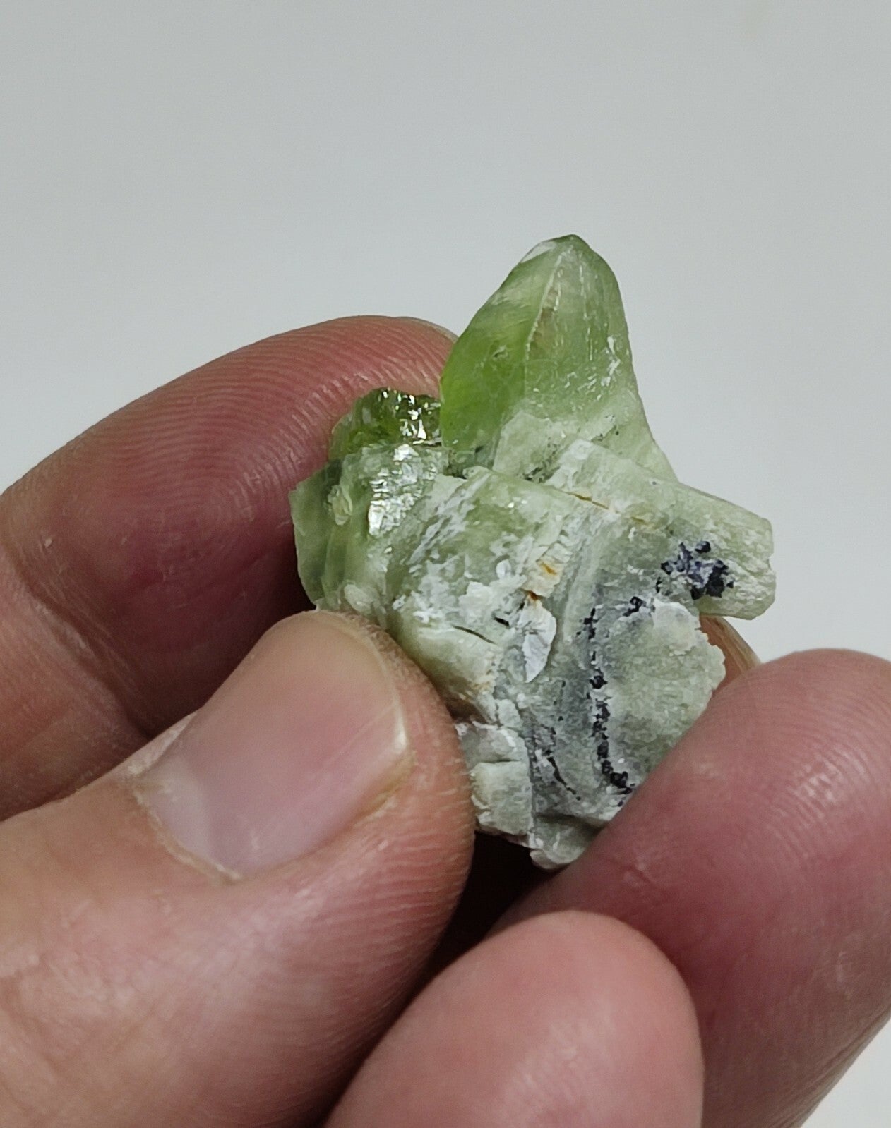 A aesthetic naturally terminated peridot crystal specimen 12 grams