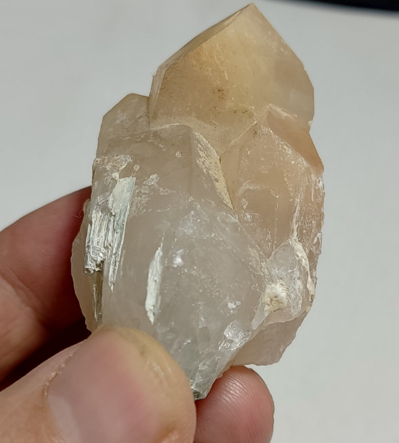 Amphibole included Quartz crystal 88 Grams