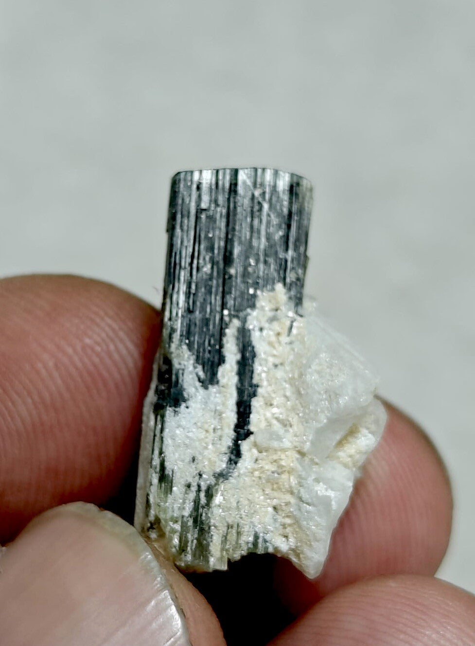 33 Carats Natural Green Cap Tourmaline Crystal With Albite.