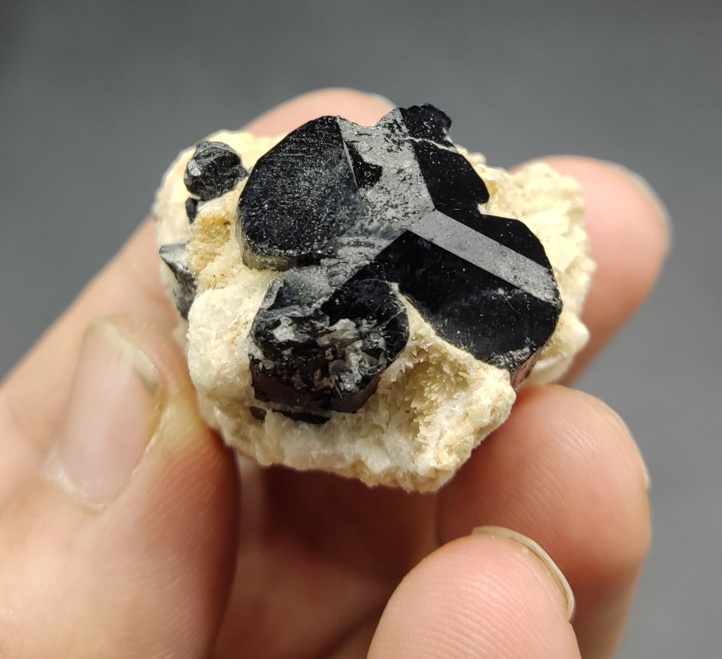 An aesthetic specimen of black tourmaline crystal on matrix 21 grams