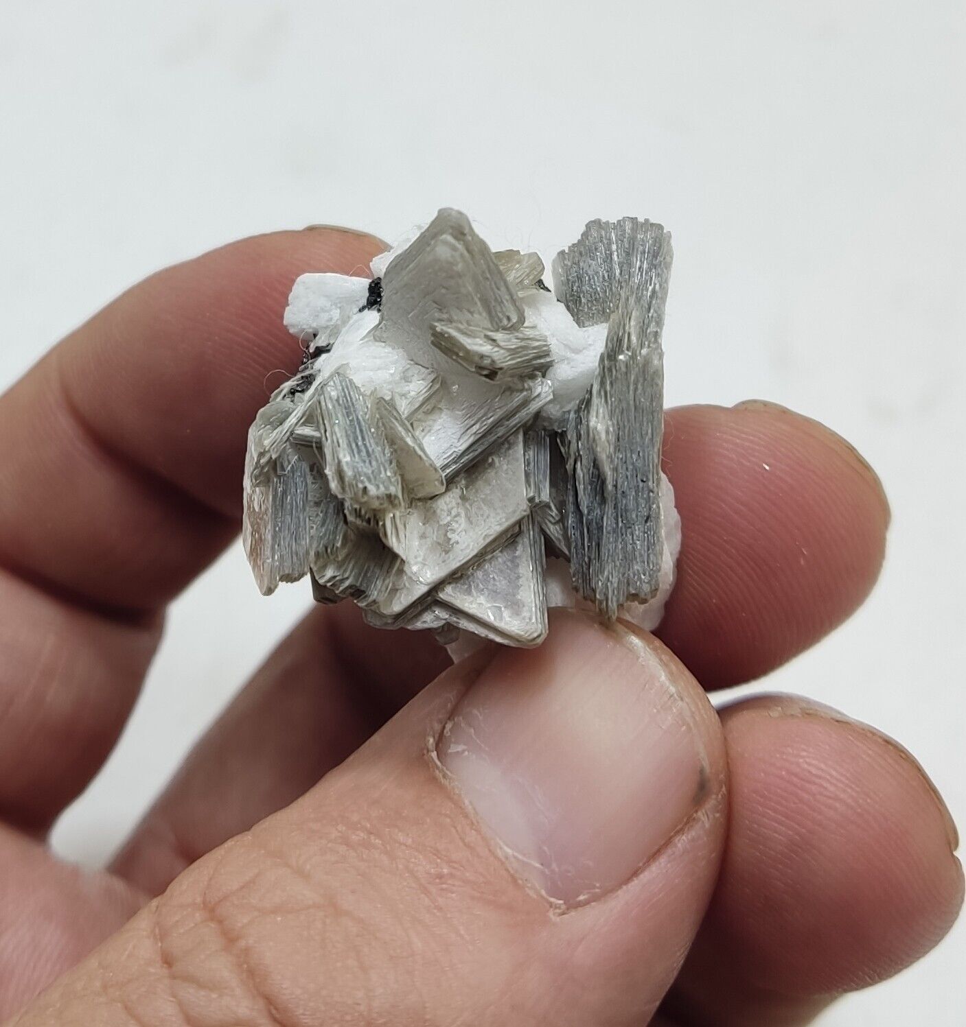 An Aesthetic specimen of muscovite with Tourmaline and albite 26 grams