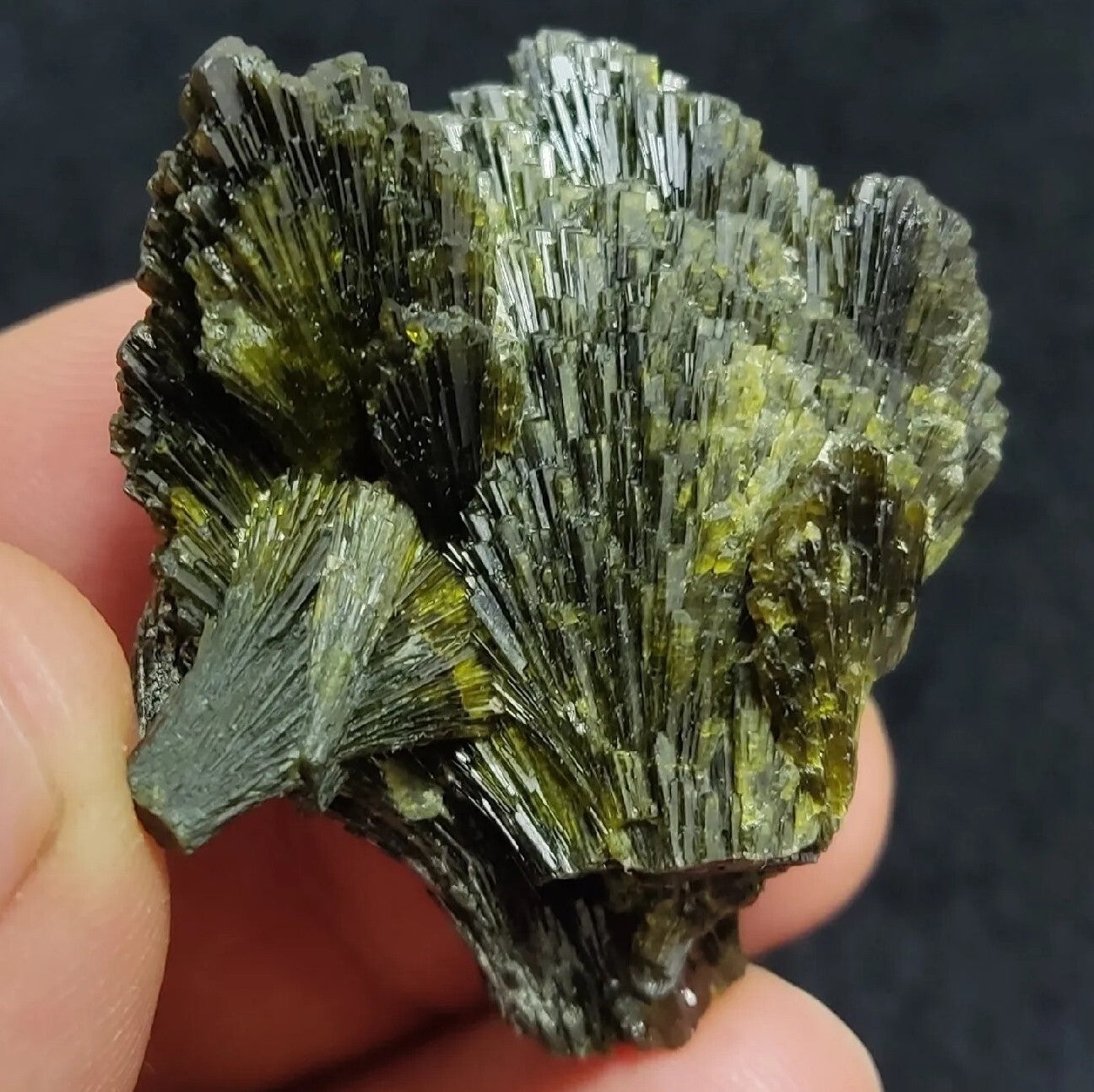 Single natural Epidote Crystal spray formations 32 grams