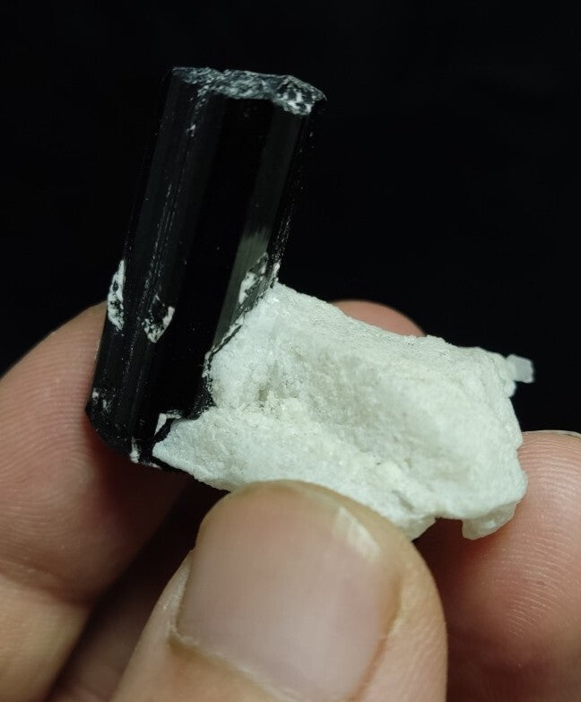 Black Tourmalines Crystal on Matrix of Albite 24 grams