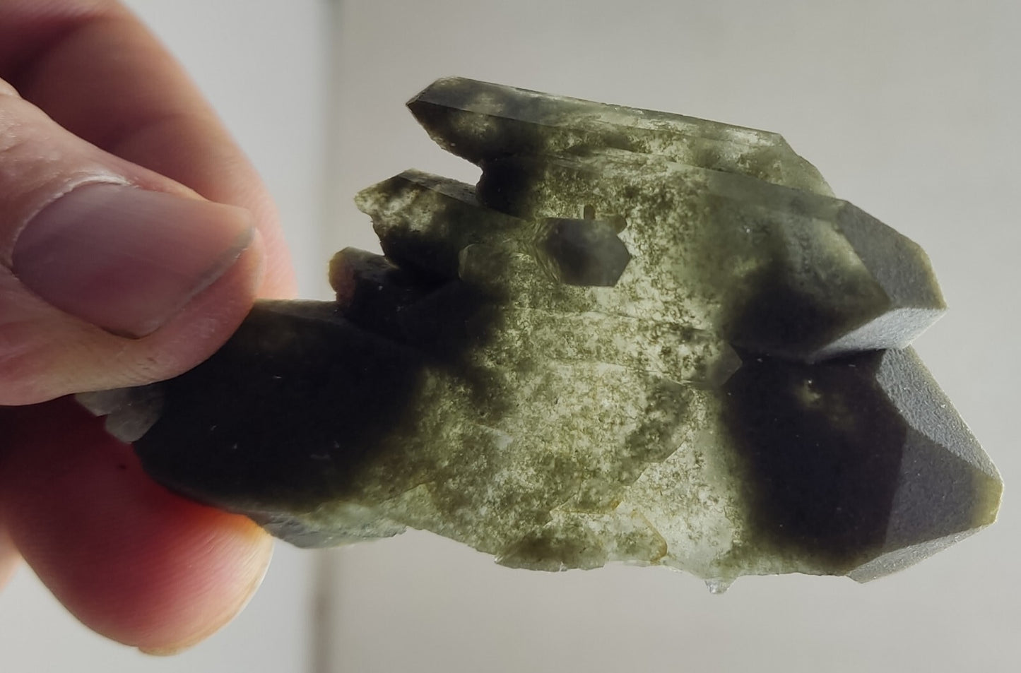 A very Aesthetic Natural beautifully terminated Chlorite Quartz cluster 31 grams