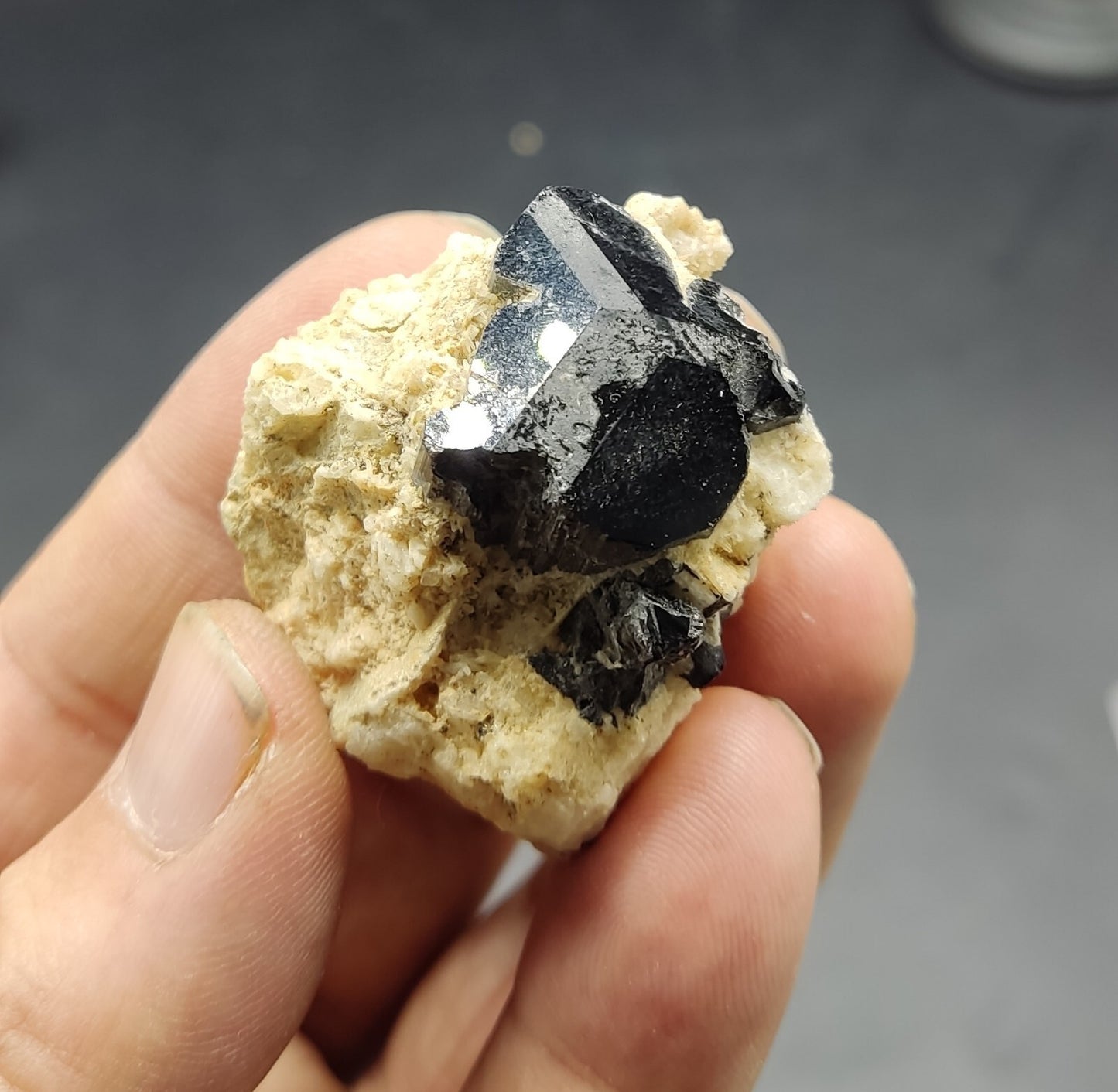 An aesthetic specimen of black tourmaline crystal on matrix 21 grams