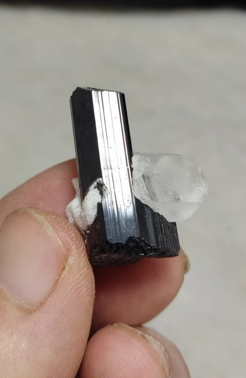 Black Tourmalines Crystal with Quartz And Albite 15 grams