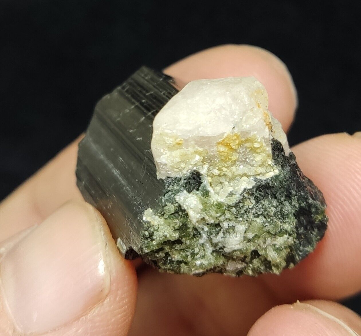 An Aesthetic specimen of black Tourmaline crystal with apatite 26 grams