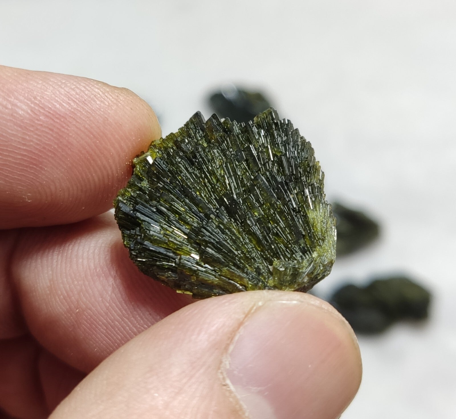 Natural Dark Green Epidotes crystals Random Selection.