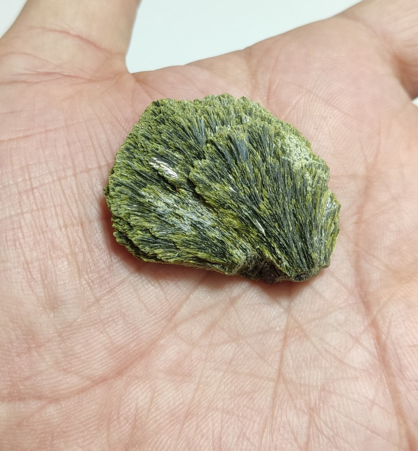 An aesthetic specimen of epidote crystal spray type 22 grams