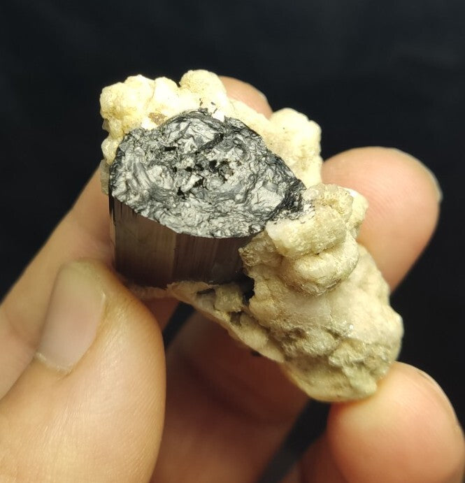 Natural Terminated Black Tourmaline Crystal on Matrix 35 grams