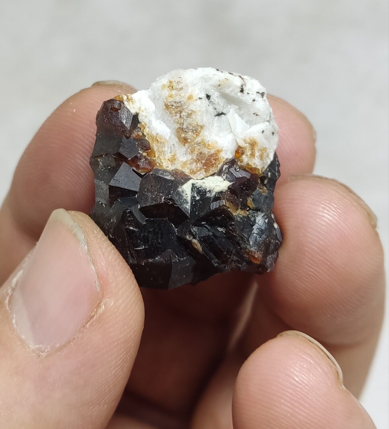 An Aesthetic specimen of andradite garnets on matrix 18 grams