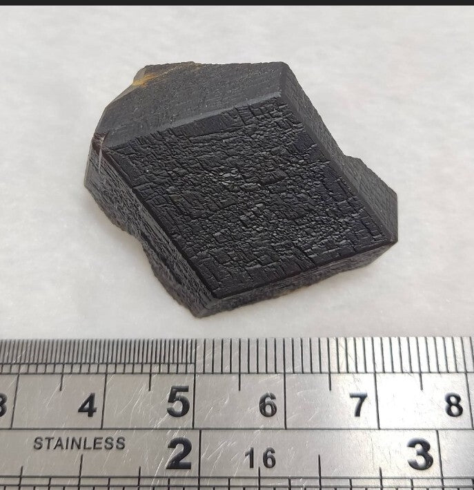 Garnet variety andradite crystal  specimen 41 grams