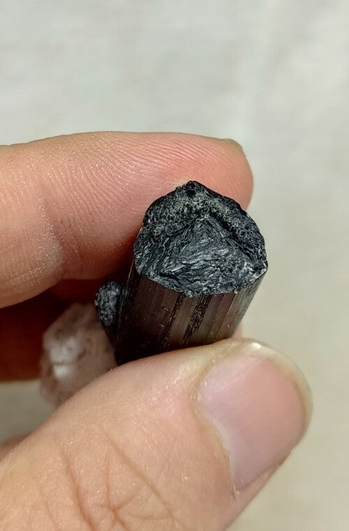 Natural Terminated Black Tourmaline Crystal 22 grams