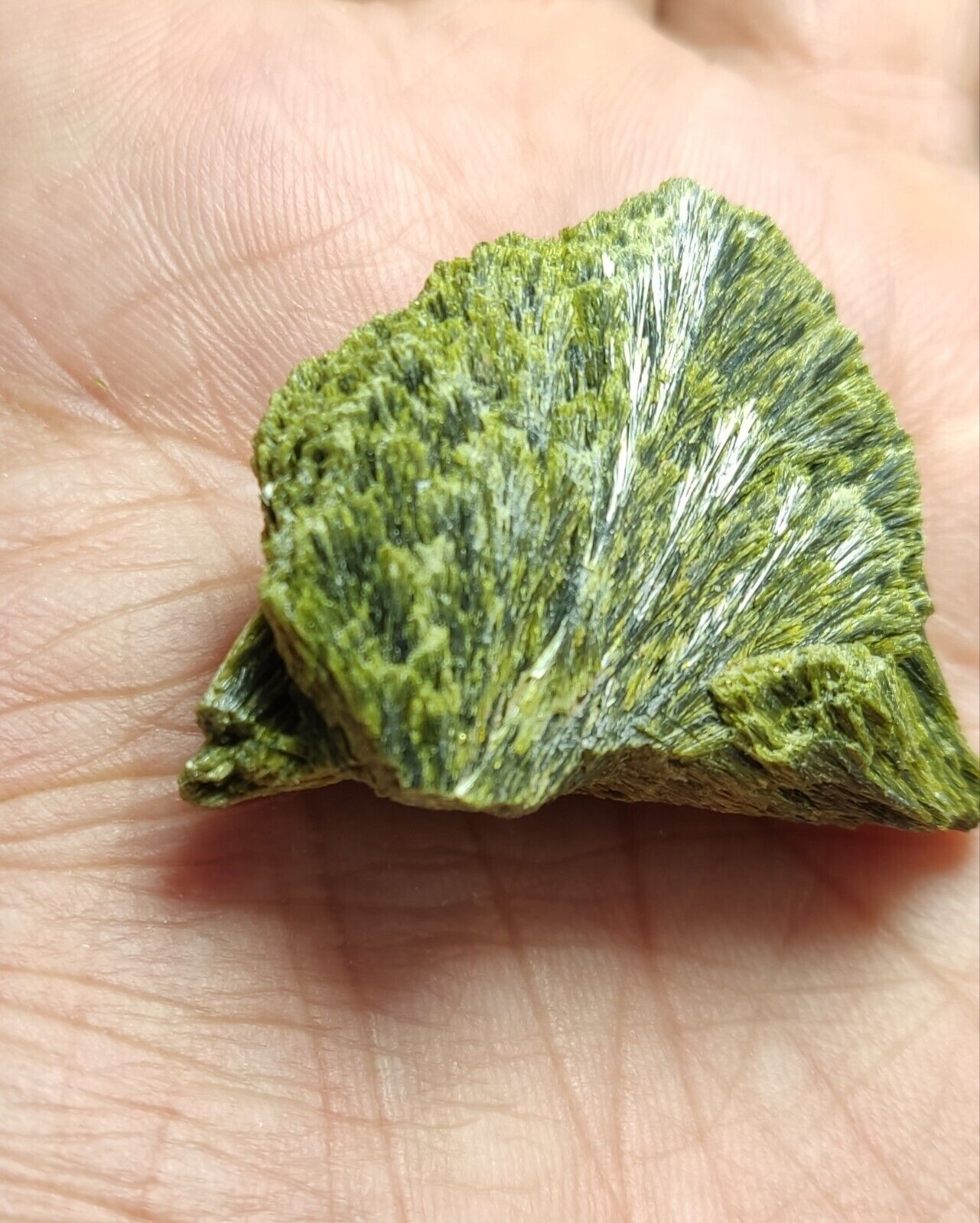 An aesthetic specimen of epidote crystal spray type 22 grams