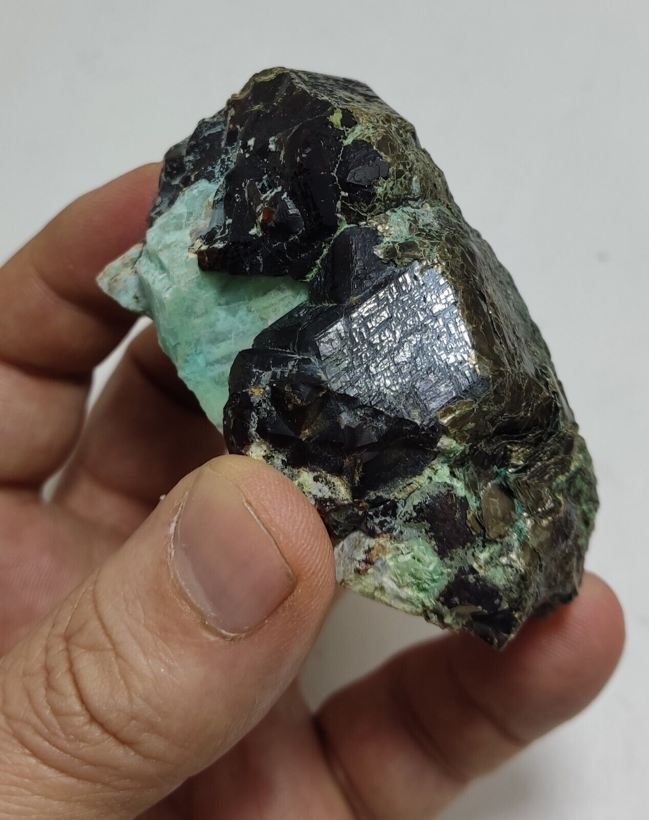 233 grams Aesthetic specimen Garnets cluster andradite garnets natural garnets