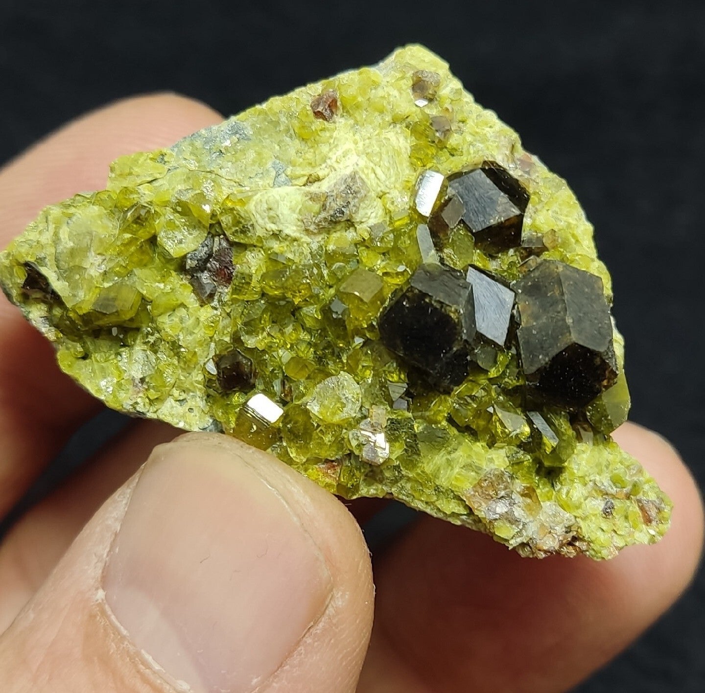 Andradite Garnets Crystals on matrix with Epidotes 40 grams