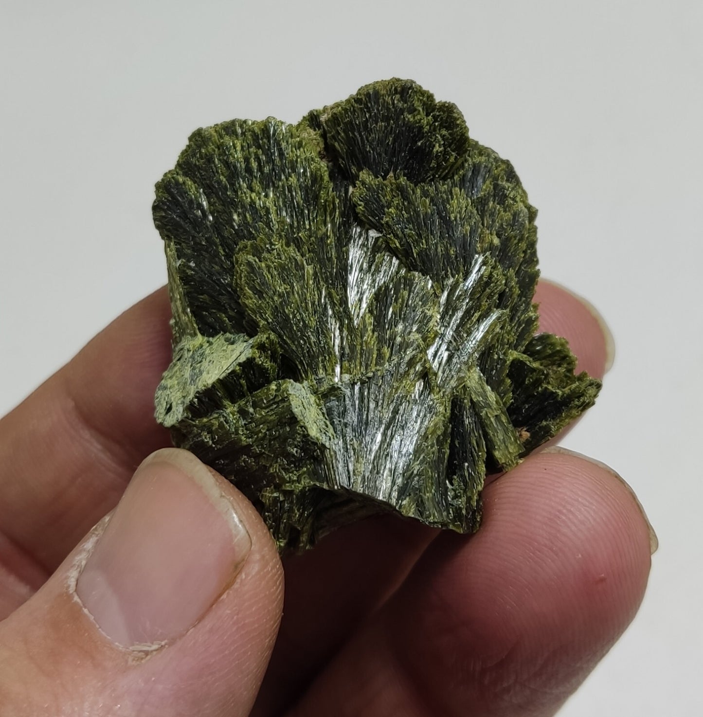 An aesthetic specimen of epidote crystal spray type 31 grams