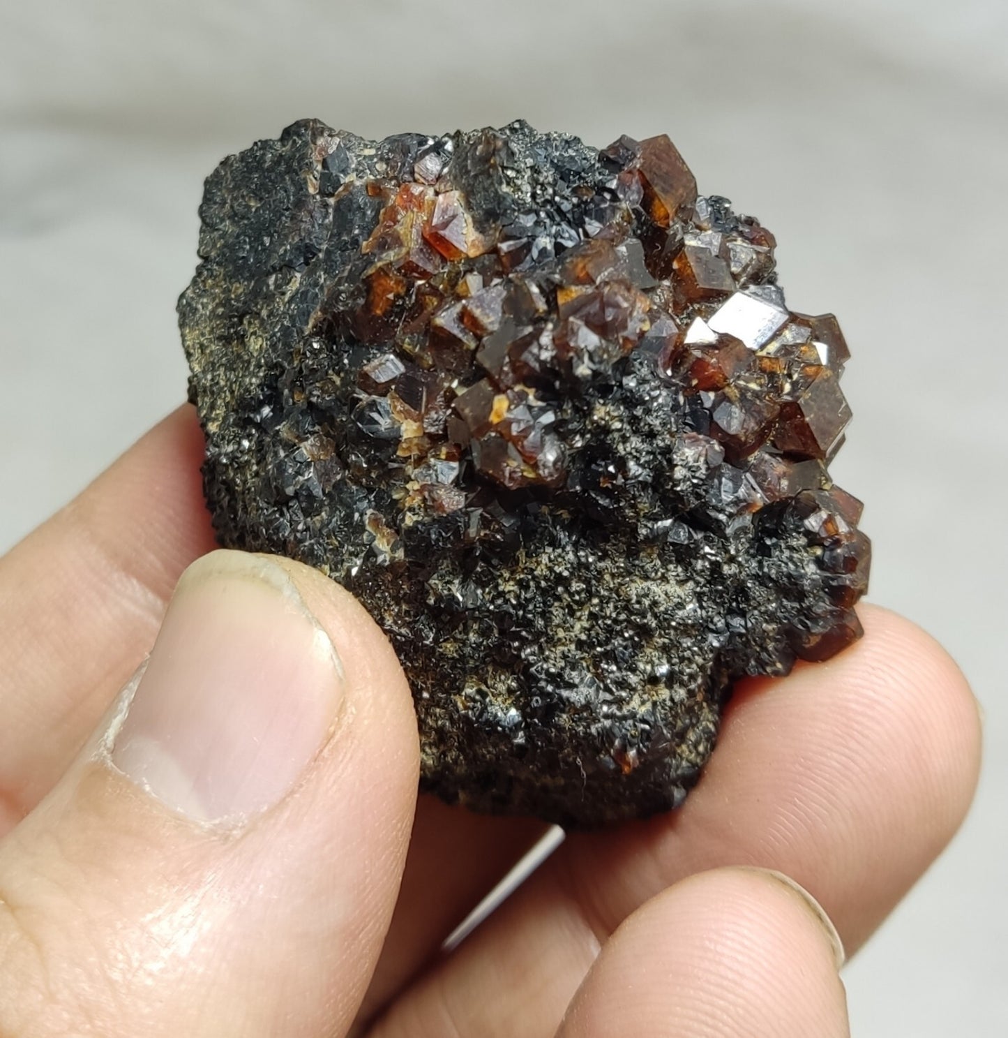 An Aesthetic specimen of andradite garnets on matrix 71 grams