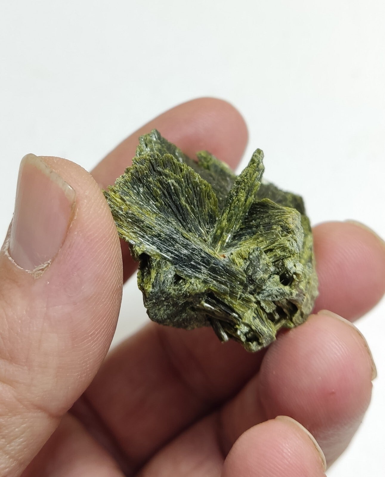 An aesthetic specimen of epidote crystal spray type 31 grams
