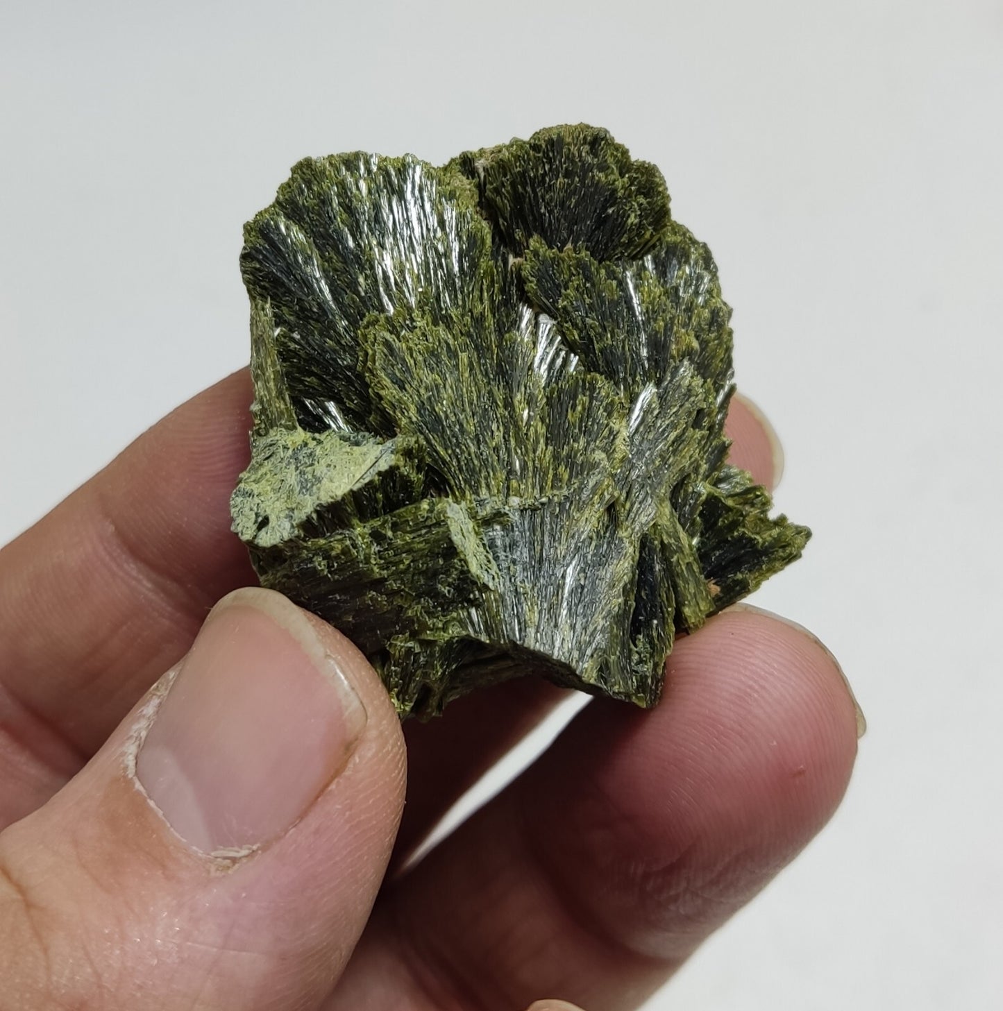 An aesthetic specimen of epidote crystal spray type 31 grams