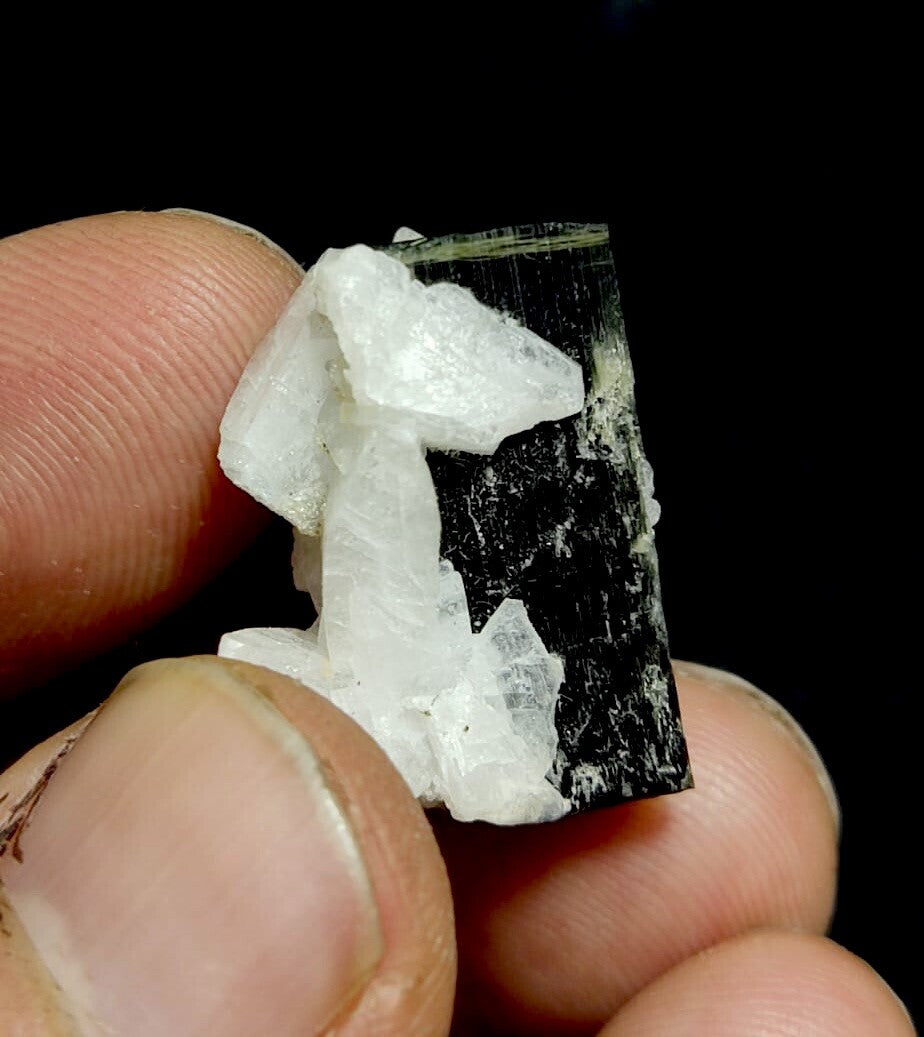 Natural Green Cap Tourmaline With Cleavelandite 8.5 Grams.