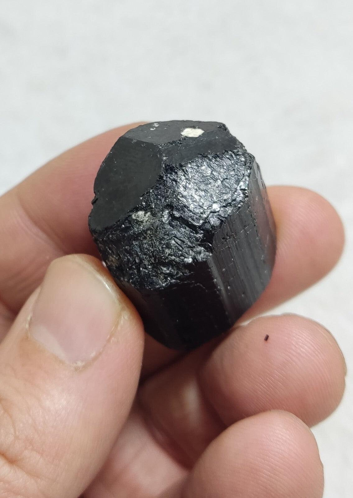 An amazing specimen of terminated black tourmaline 38 grams
