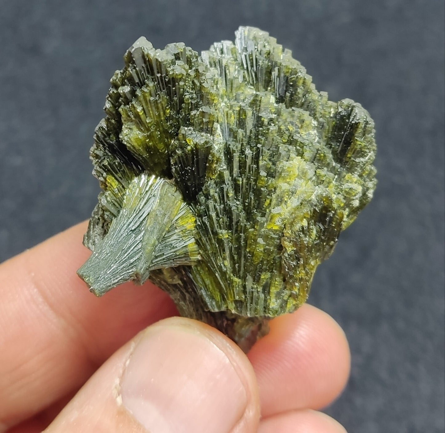 Single natural Epidote Crystal spray formations 32 grams