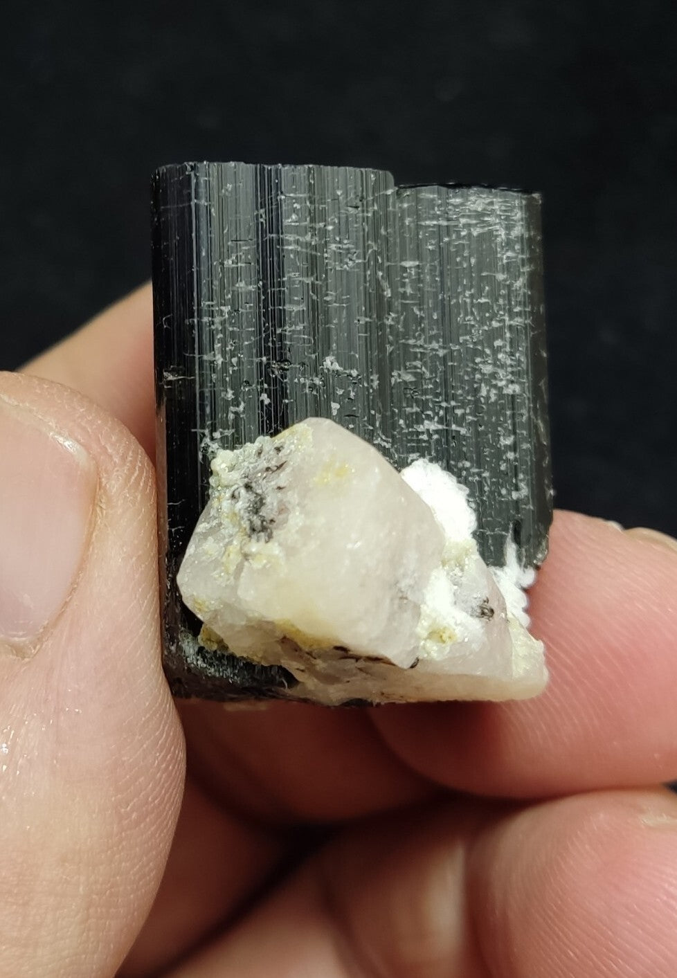 An Aesthetic specimen of black Tourmaline crystal with apatite 34 grams