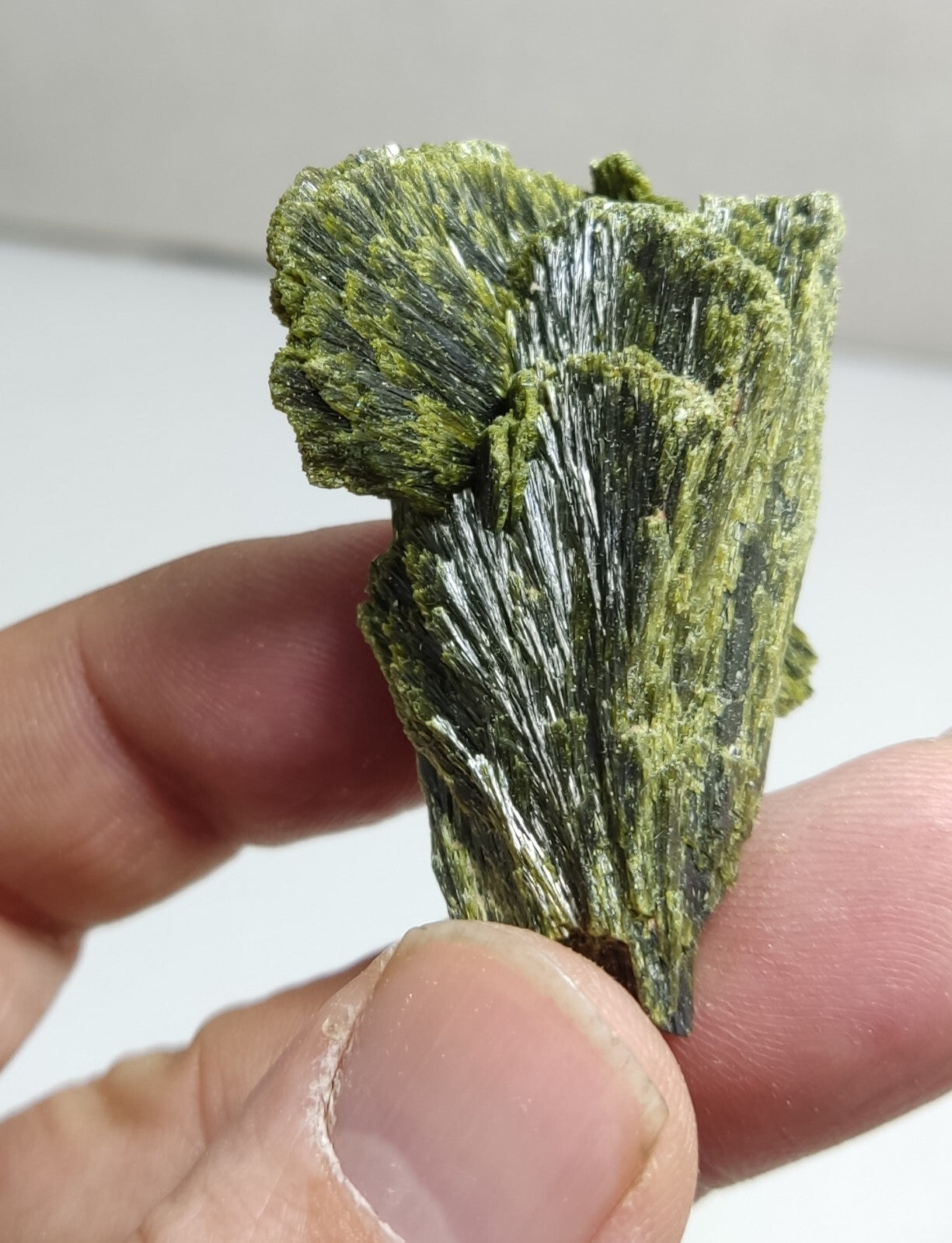 An aesthetic specimen of epidote crystal spray type 29 grams