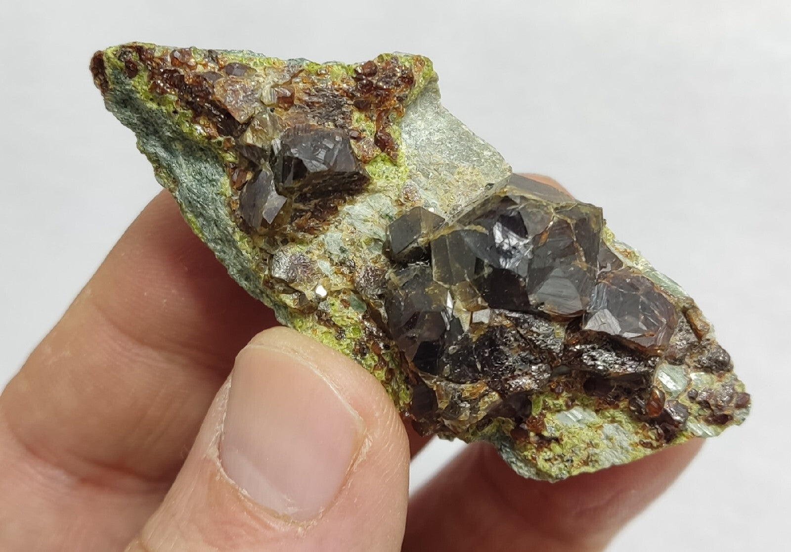 Andradite garnets on matrix with epidote 43 grams