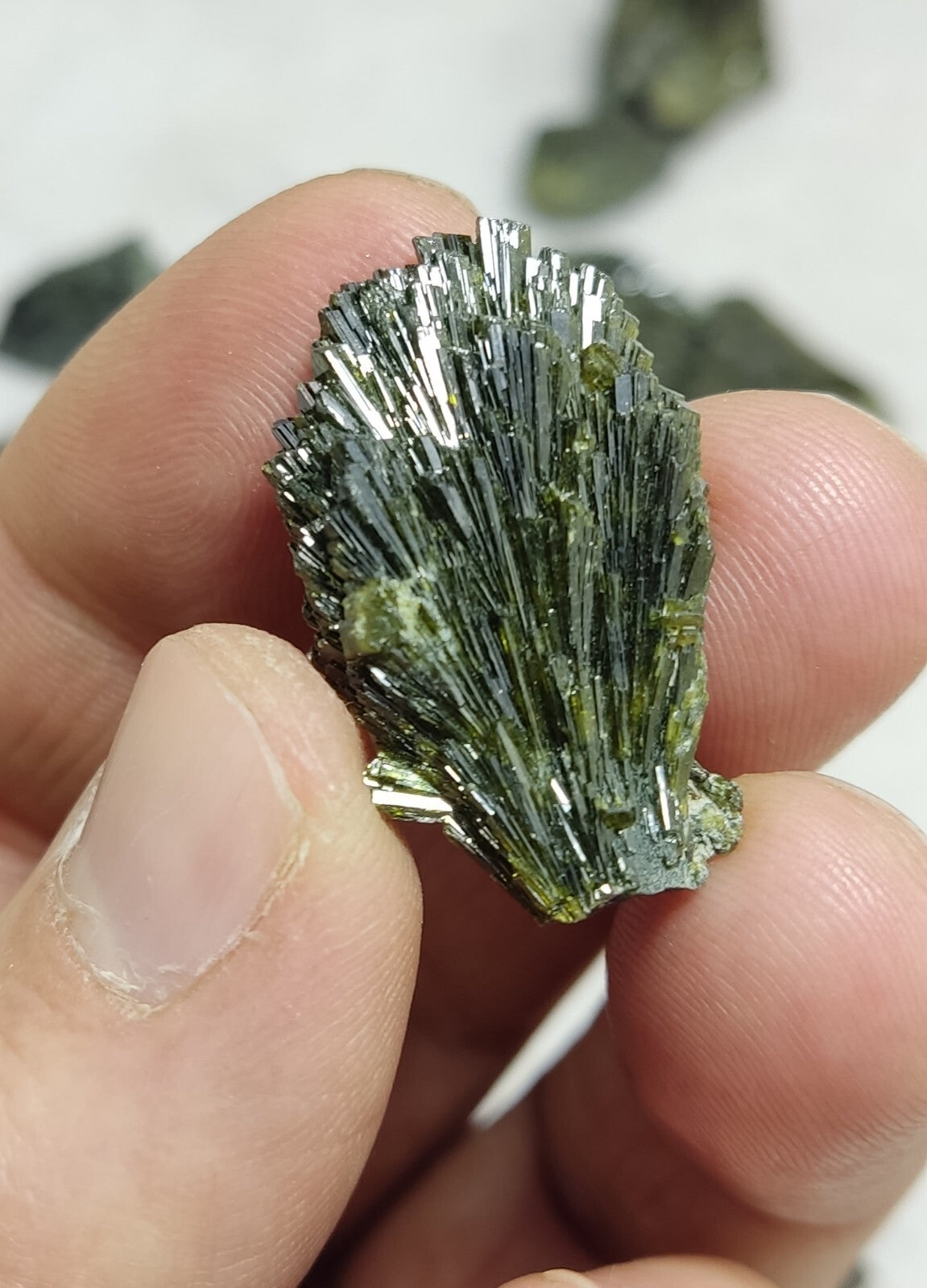 Natural Dark Green Epidotes crystals Random Selection.