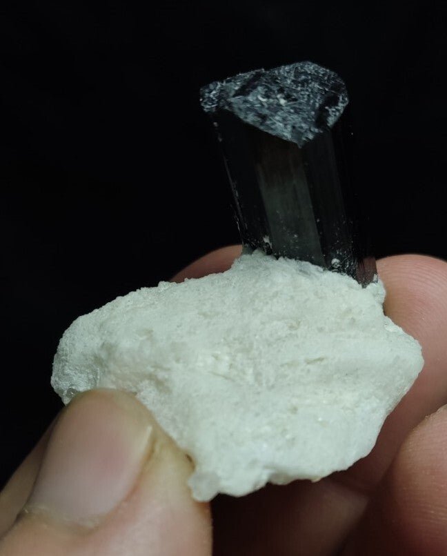 Black Tourmalines Crystal on Matrix of Albite 24 grams