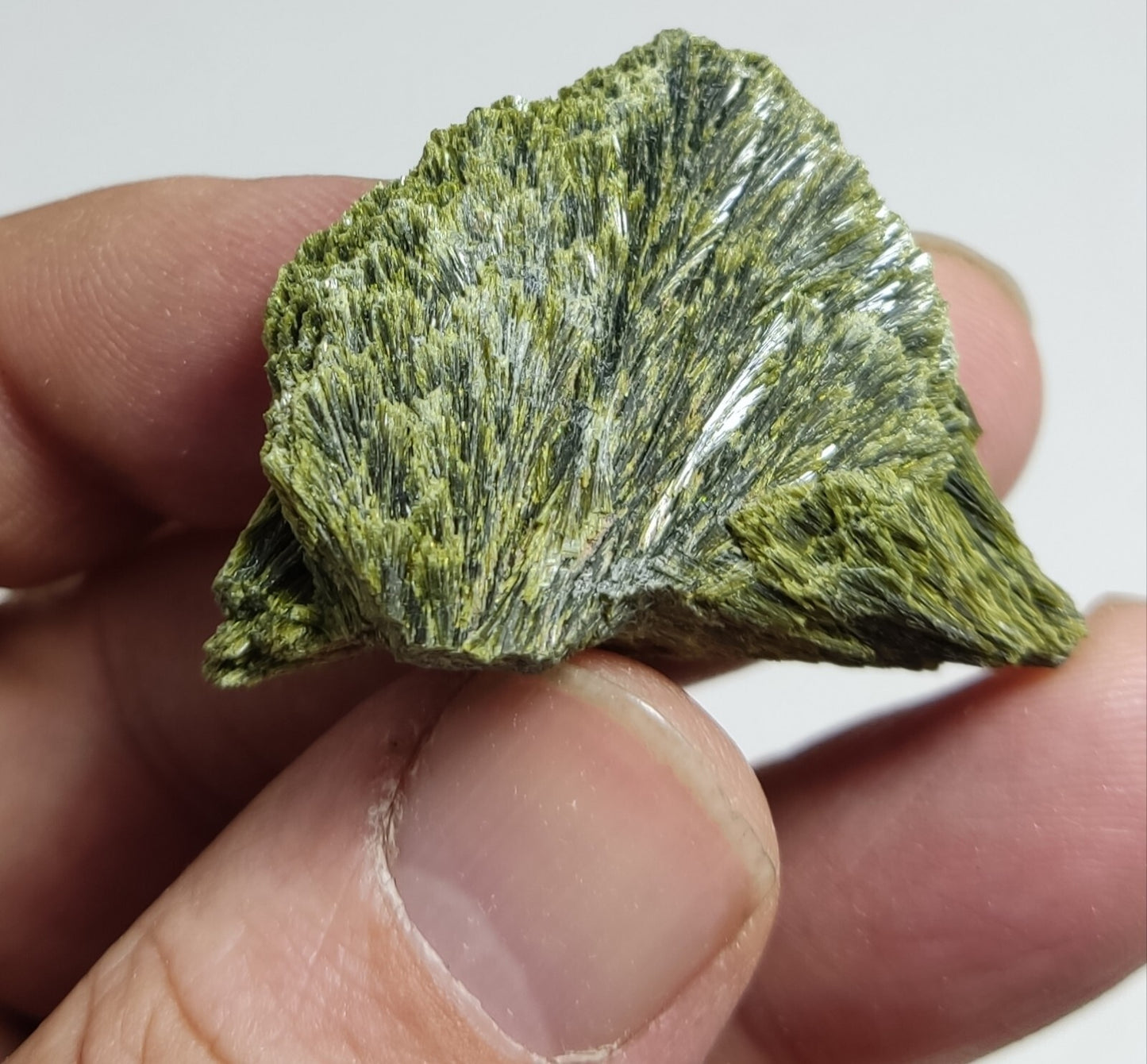An aesthetic specimen of epidote crystal spray type 22 grams