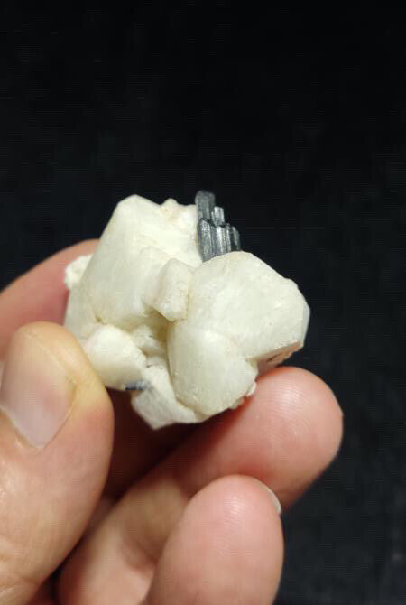 Tourmaline on albite