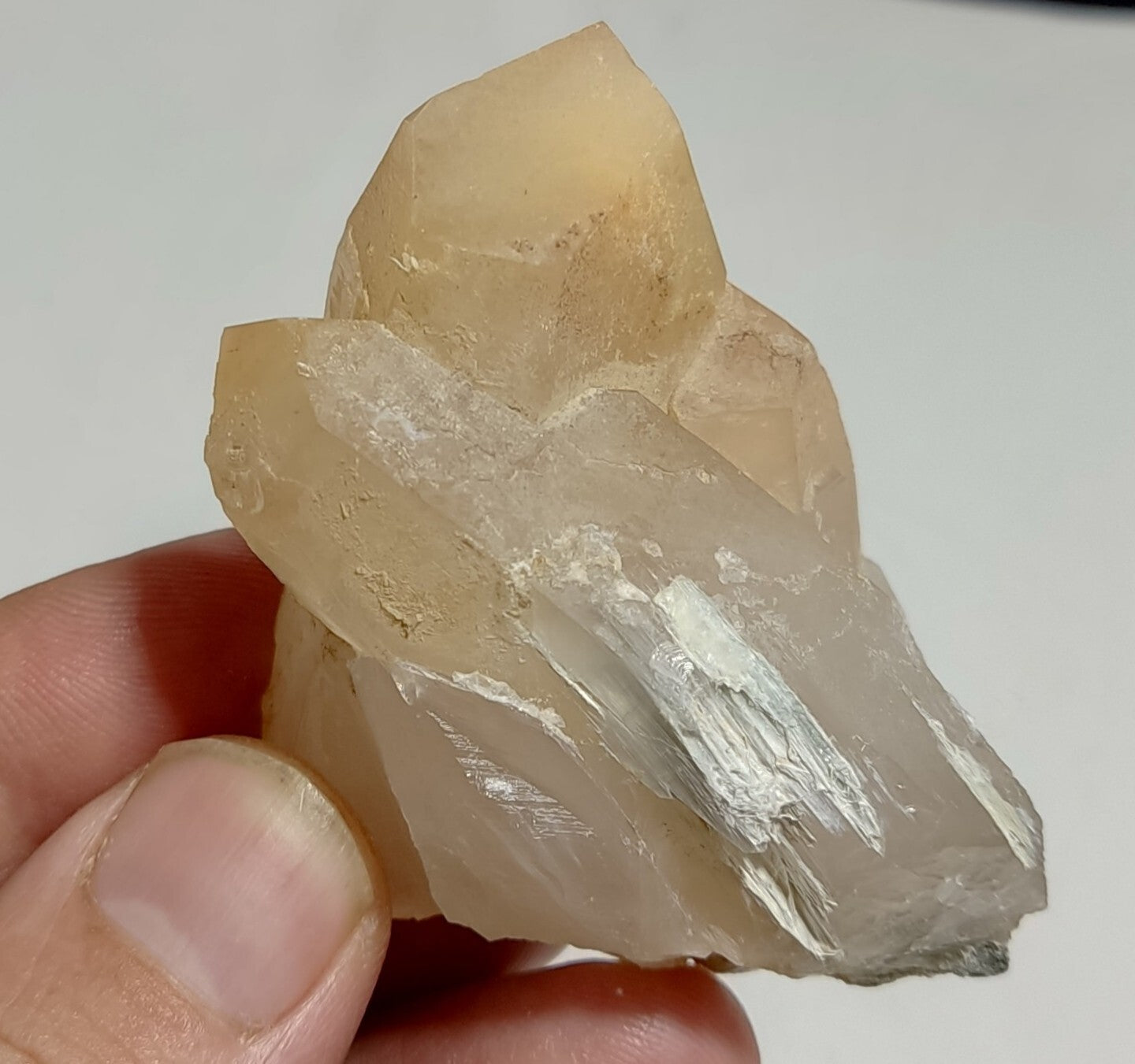 Amphibole included Quartz crystal 88 Grams